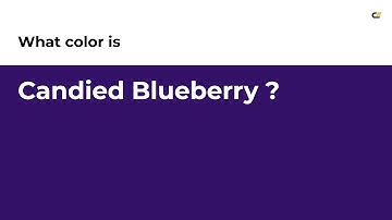 Candied Blueberry color #331166 hex color - Violet color - Warm color 331166