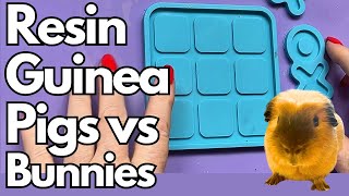 #286 Resin Tic Tac Toe with a Twist! Bunnies vs Guinea Pigs, step by step make