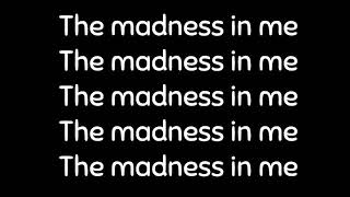 Skillet - Madness In Me (Lyrics)