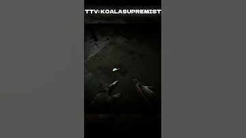 I REALLY THOUGHT I HAD A CHANCE AT SURVIVAL Escape From Tarkov Escapefromtarkov Shorts 