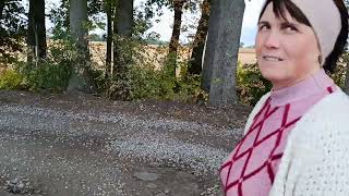 картинка: Відео на 