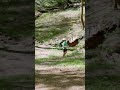 Disc Golf™️