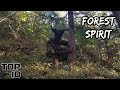 Top 10 Scary Creatures Seen In Forests