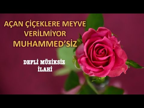 AÇAN ÇİÇEKLERE MEYVE VERİLMİYOR MUHAMMED'SİZ (Defli Müziksiz İlahi) Sevilen İlahi