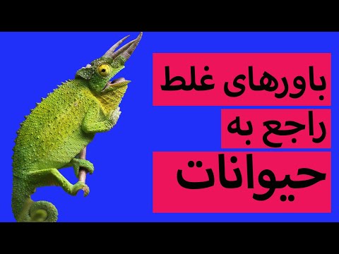 تصویری: مشهورترین باورهای غلط در مورد حیوانات