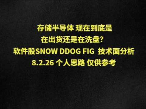 存储半导体 现在到底是在出货还是在洗盘？软件股SNOW DDOG FIG  技术面分析8.2.26 个人思路 仅供参考