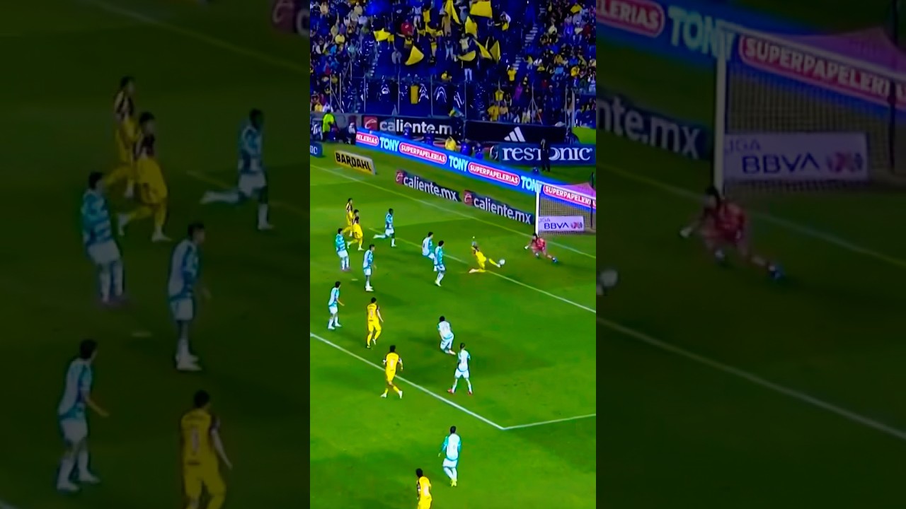 🦅 ¡Golazo del Búfalo Aguirre! 🔥Ja, estas son las #clubamerica #águilasdelamérica #viral #shorts