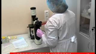 Новый метод лечения бронхиальной астмы разработали новосибирские врачи