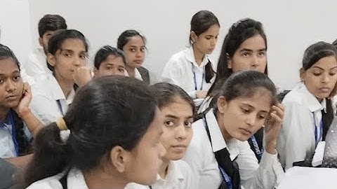 Python - IT Bridge PPU