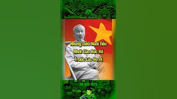 NHỮNG ĐIỀU NUỐI TIẾC NHẤT CỦA BÁC HỒ TRƯỚC LÚC RA ĐI… #bảocócvlog #bacho #bảocóc #baococvlogboss #xh