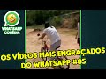 Os Vídeos Mais Engraçados do WhatsApp #05