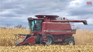 CASE IH 2166 AxialFlow Combine Harvesting Corn
