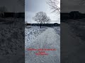 Grand Parc Urbain Brossard QC Canada 2025 February Grand Parc Urbain Brossard QC Canada 2025 February