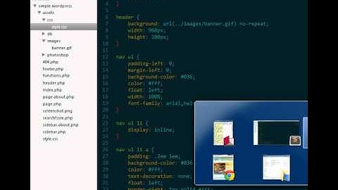 Part 19a: Creating a WordPress Search Form