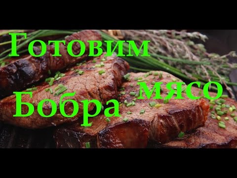 Готовим Мясо Бобра, Жарим Бобра В Духовке! Cooking Meat Beaver, Beaver Roast In The Oven!