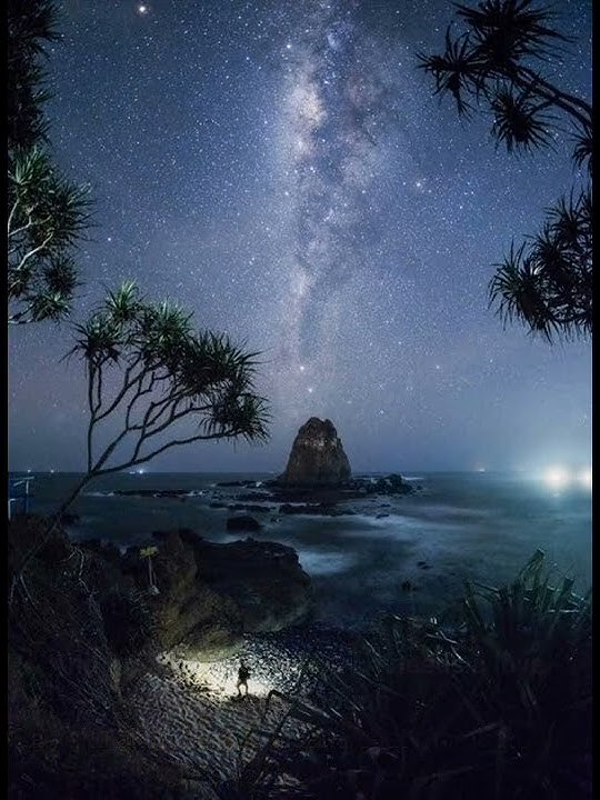 story wa strongest alan walker & ina wroldsen terjemahan