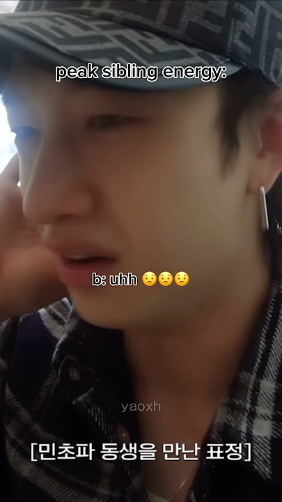 peak sibling chaos 😭 #kpop #straykids #bangchan #hannahbahng #skz