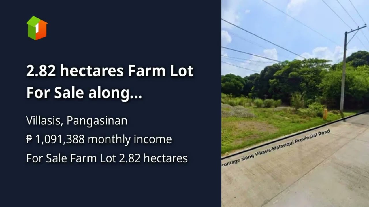 2.82 hectares Farm Lot For Sale along Provincial Rd. in Unzad Villasis Pangasinan