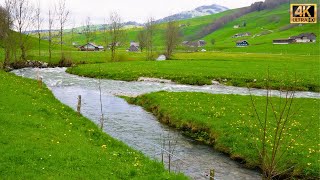 Appenzell Switzerland  the Valley of Rivers | #swiss #swissview