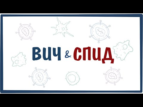 ВИЧ и СПИД — причины, симптомы, патогенез, диагностика, лечение