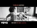 Norah Jones - Hurts To Be Alone (Audio)