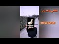 رايحه على فين يا بطه