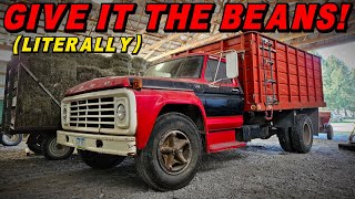 Will this Old Grain Truck RUN &amp; DRIVE in Time for HARVEST!?