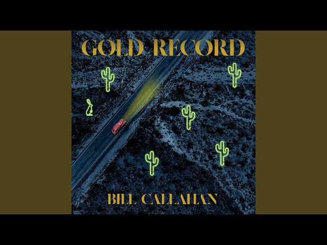 Bill Callahan - 35