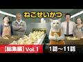 【猫の日常 総集編】ねこせいかつ Vol.1