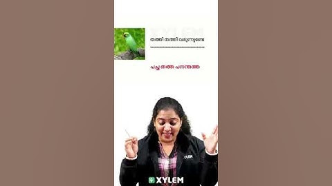 വരികൾ കൂട്ടിച്ചേർക്കാം! | Xylem Class 3