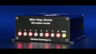 The RJM Mini Amp Gizmo