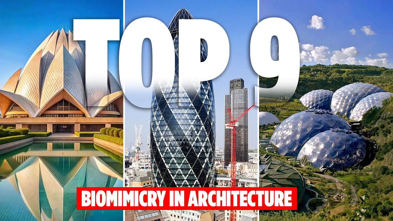 9 Stunning Examples of Biomimicry Transforming Architecture