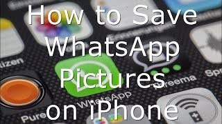 How to Save WhatsApp Pictures on iPhone and iPad screenshot 4