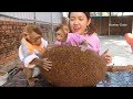 Wow Dodo Mori Meet Giant Jackfruit, Mori Dodo Eat Much Giant Jackfruit Very Adorable