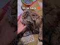 Dil ka tukra❤️/Dil ka sukoon💞#catlovers #shorts #animals #pet #ytshorts