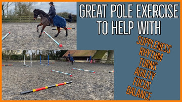 POLEWORK EXERCISE TO HELP IMPROVE YOUR HORSES Suppleness| Agility| Rhythm| Equestrian Vlog