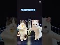 #박서진 #백세인생