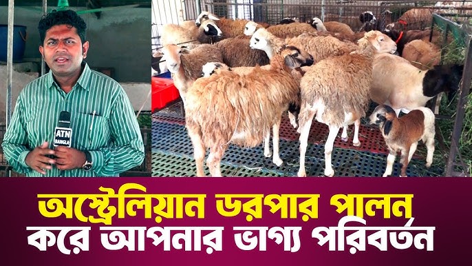 Rostovdagi talabalar uchun samimiy xizmatlar Havaskor yigitlar qizni sikishmoqda