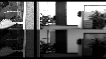 Dual Exposure Video: IDS UI-3360M-HQ