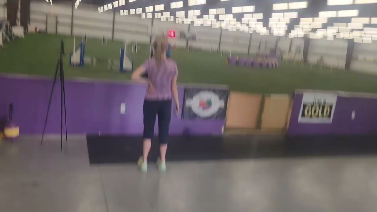 Taz.  Dog gone fun agility June 2025