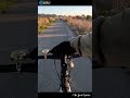 Ding ding! - Portland Design Works Alexander Graham / King of Ding Bell Riding Footage #shorts