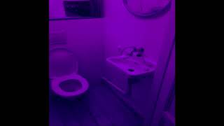 Tokyo SIN$ - Vintage Glory but you're in the bathroom at the party