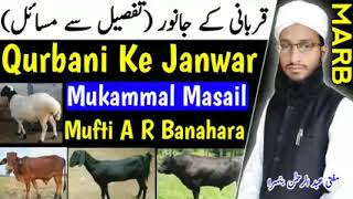 Qurbani Ke Janwar Ke Mukammal Masail |  DEENI MALUMAAT MARB MIX | 2020