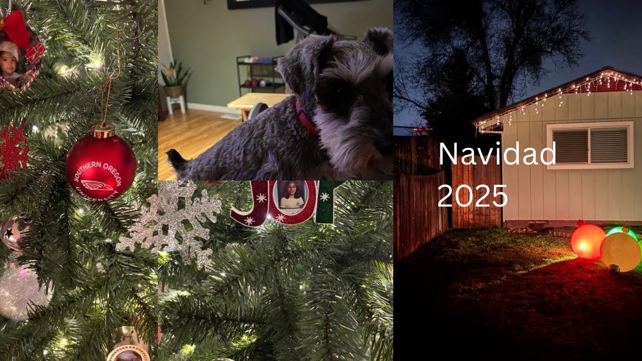 Decoración de navidad 2025 