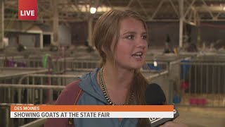 Behind the scenes with a goat exhibitor at the Iowa State Fair