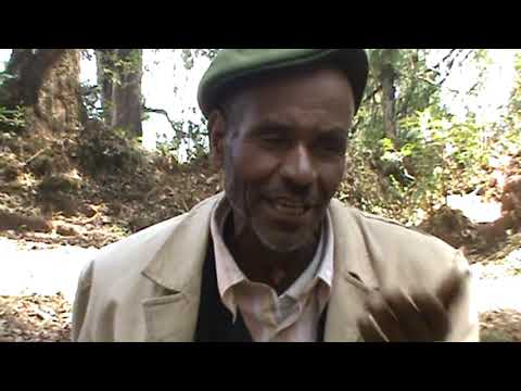 Gurage Traditional Song Bedra 2 የጉራጌ በድራ