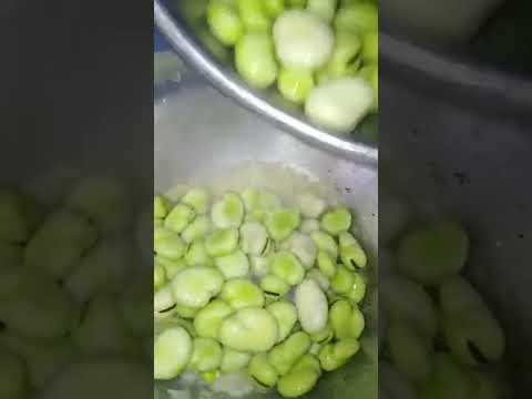 الفول الأخضر بطريقتين عشان نرضي الطرفين