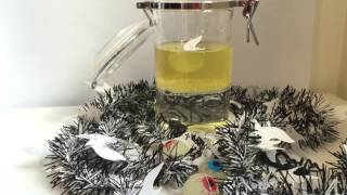 Celebrity Halloween Density Experiment Wealth