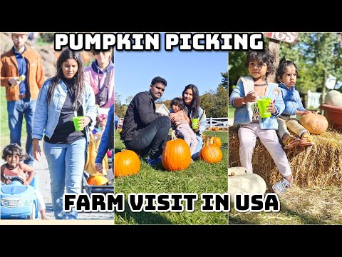 Brookhollow Farm Visit - Boonton | Weekend Trip with family| Animal feeding| Pumpkin field