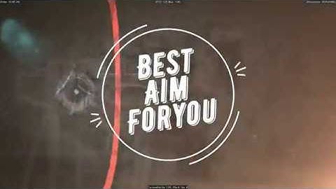 CoD BO4 Private Aimbot + Wallhack